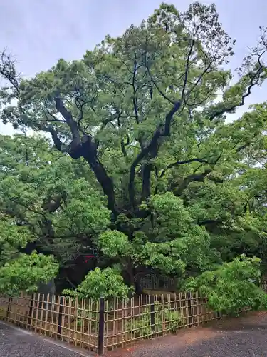 浜松八幡宮(静岡県)