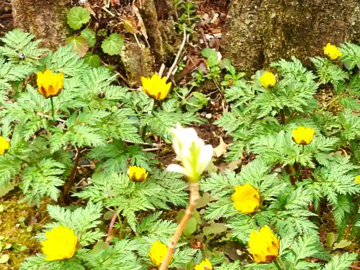 瑞泉寺(神奈川県)