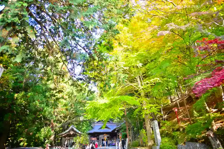新倉富士浅間神社(山梨県)