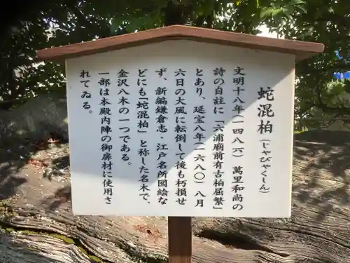 瀬戸神社(神奈川県)