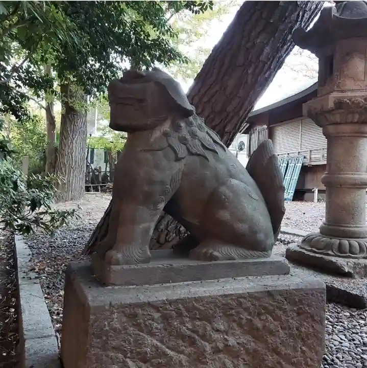 上目黒氷川神社の狛犬