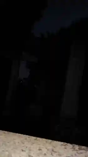 守綱八幡神社(静岡県)