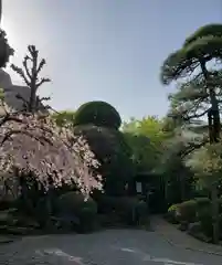 竜興寺(東京都)