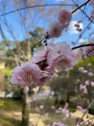 法寳閣檀林寺(京都府)