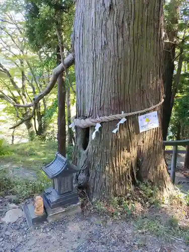 阿久津「田村神社」（郡山市阿久津町）旧社名：伊豆箱根三嶋三社(福島県)