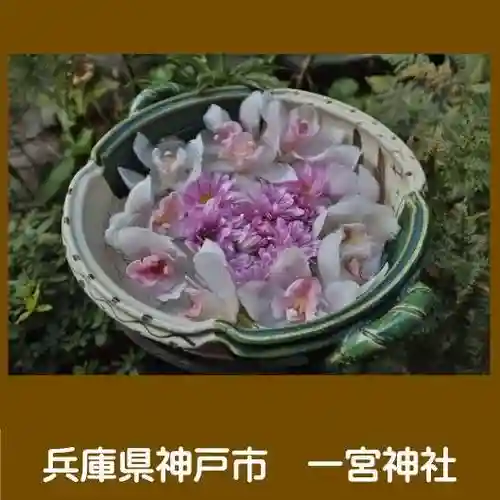 一宮神社の手水舎