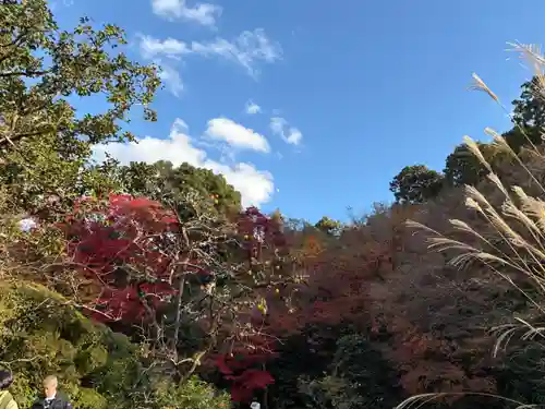 詩仙堂（丈山寺）(京都府)