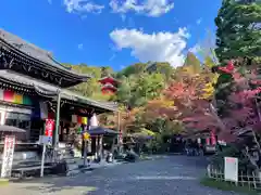 今熊野観音寺(京都府)