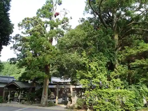 葛神社のその他建物