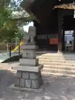龍宮神社の狛犬