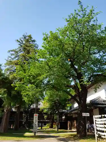 妙法寺のその他建物