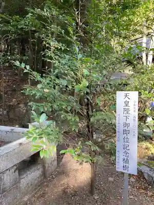 宝登山神社(埼玉県)