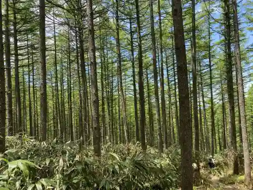 恵那神社　本社(岐阜県)