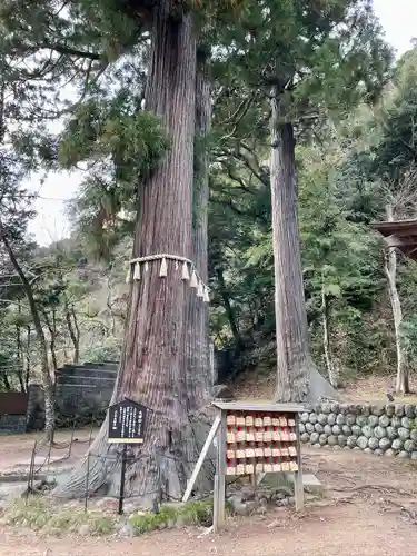 日枝神社(静岡県)