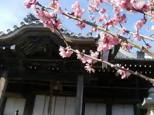 無動寺（延暦寺塔頭）のその他建物