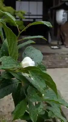 真正極楽寺(真如堂)(京都府)