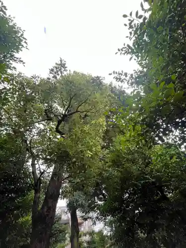元郷氷川神社(埼玉県)