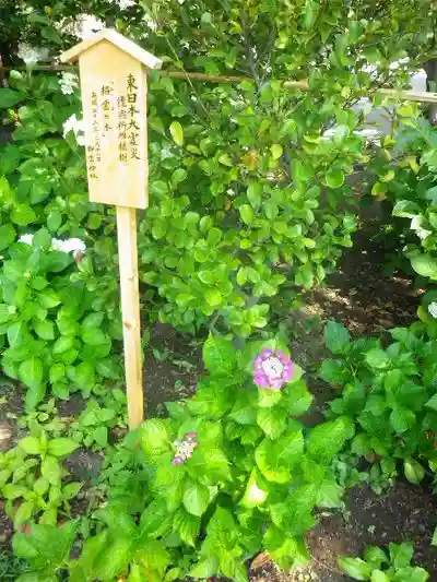御霊神社のその他建物
