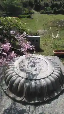 深泉寺のその他建物