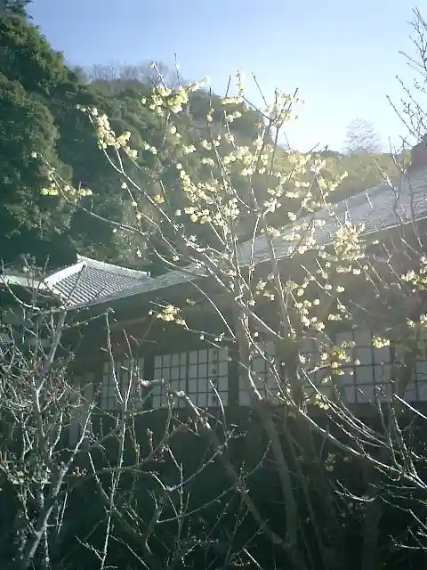 瑞泉寺のその他建物