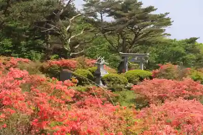 高柴山神社の景色