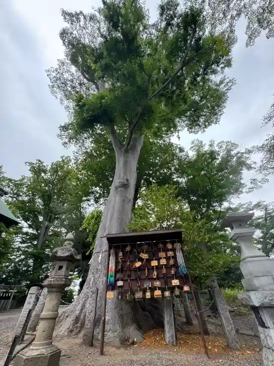 日吉神社(福島県)