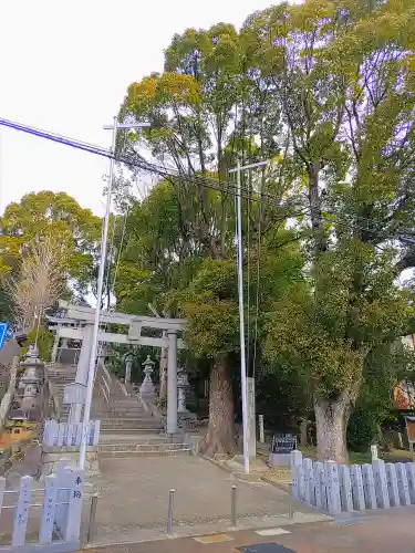 西八幡社の自然