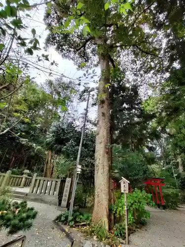 鴨都波神社の建物その他