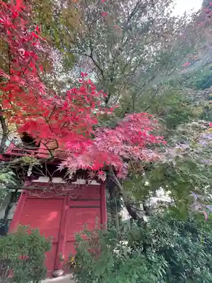 本土寺(千葉県)