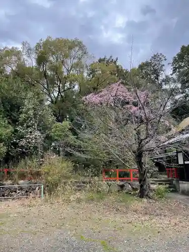 新熊野神社の自然
