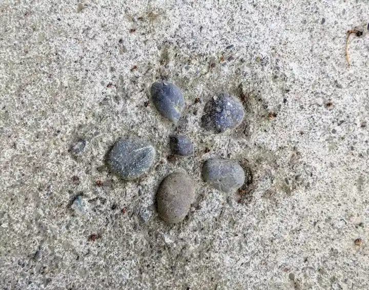 荏柄天神社(神奈川県)