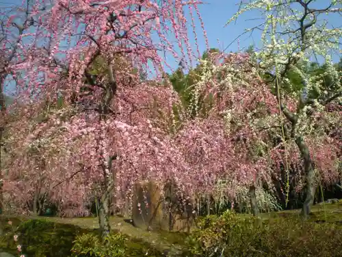 城南宮の庭園