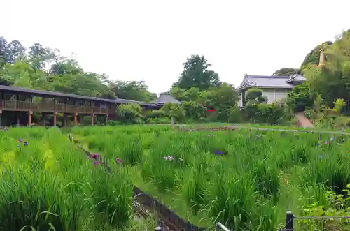 本土寺(千葉県)