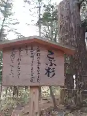 本宮神社（日光二荒山神社別宮）の歴史