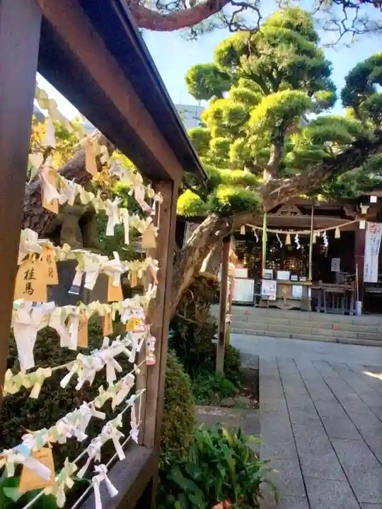 鳩森八幡神社のおみくじ