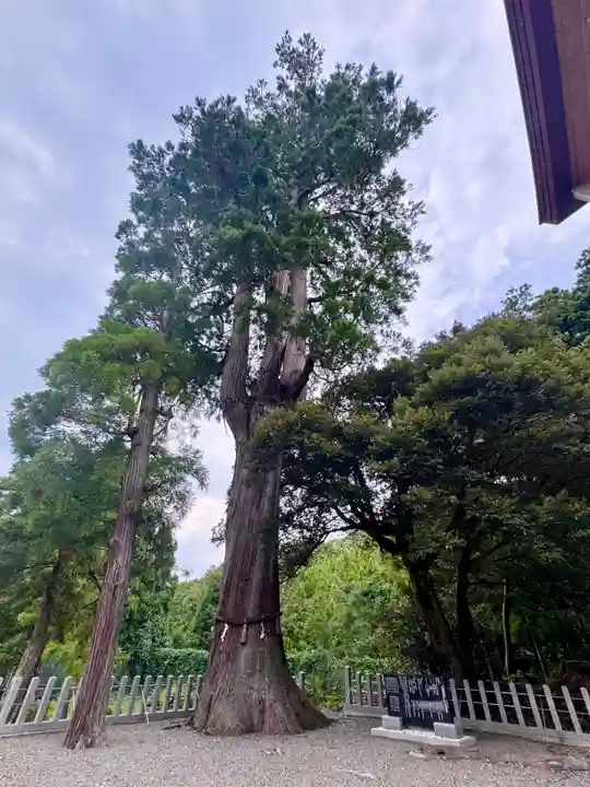 彌美神社(福井県)