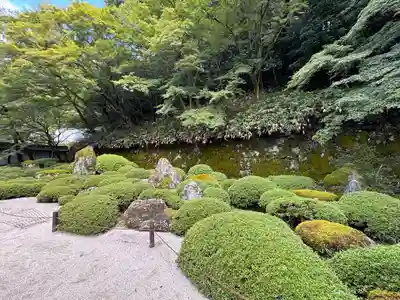 知恩院(京都府)
