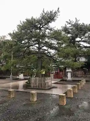 氣比神宮(福井県)