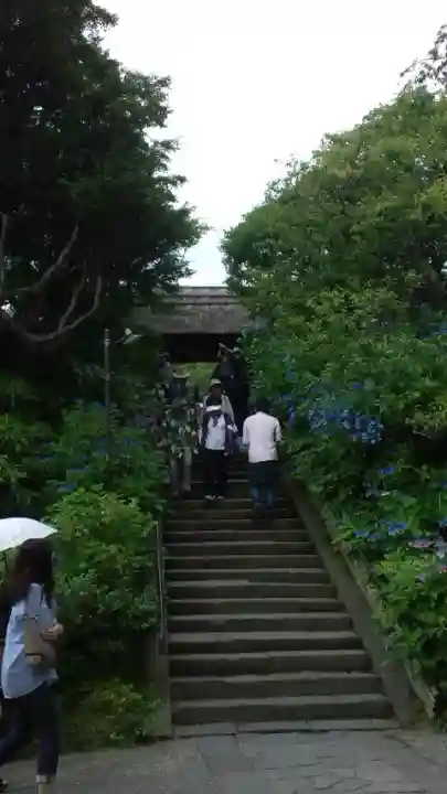 東慶寺の{uncategorized: "未分類", other: "その他", undefined: "問題あり", building: "その他建物", grave: "お墓", sacred_gate: "鳥居", guardian: "狛犬", statue: "像", buddha: "仏像", history: "歴史", nature: "自然", garden: "庭園", animal: "動物", pagoda: "塔", temizu: "手水舎", mountain_gate: "山門・神門", sanctuary: "本殿・本堂", subordinate: "末社・摂社", art: "芸術", scenery: "景色", jizo: "地蔵", ema: "絵馬", goshuin: "御朱印", omikuji: "おみくじ", items: "授与品その他", amulet: "お守り", goshuincho: "御朱印帳", eats: "食事", festival: "お祭り", votive_dance: "神楽", shichigosan: "七五三参", wedding: "結婚式", experience: "体験その他", initially: "初詣", around: "周辺", anti_infection: "感染症対策"}