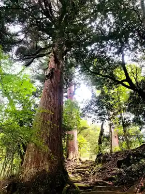 市房山神宮(熊本県)