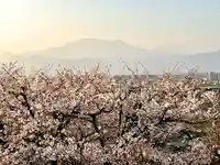 如法寺(長野県)