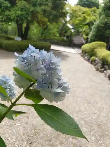 能仁寺の庭園