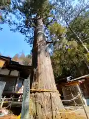 日枝神社(岐阜県)