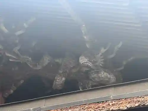 手力雄神社の芸術