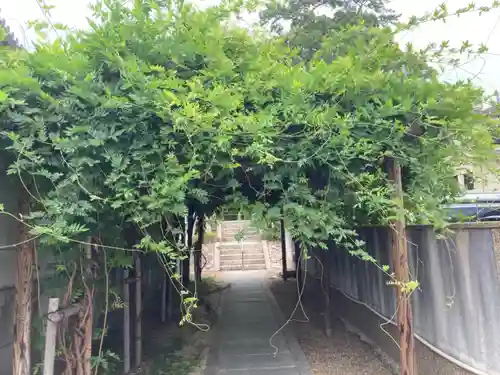 須佐之男神社の景色