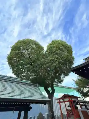 南宮宇佐八幡神社（脇浜神社）(兵庫県)