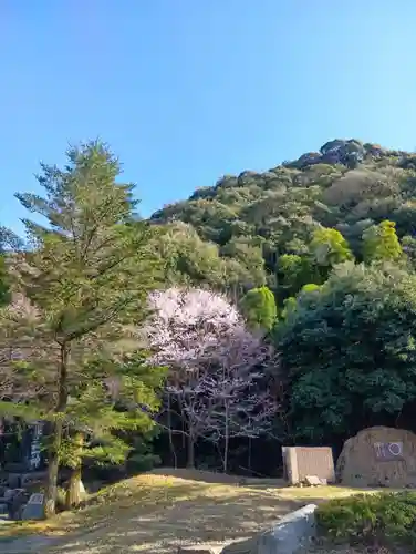 岐阜護國神社(岐阜県)