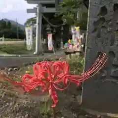 高司神社〜むすびの神の鎮まる社〜の自然