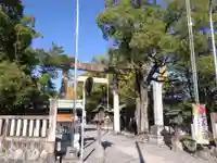 若宮神明社(愛知県)