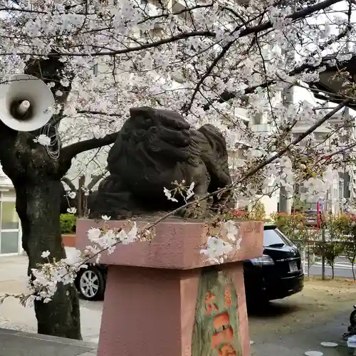 洲崎神社の狛犬